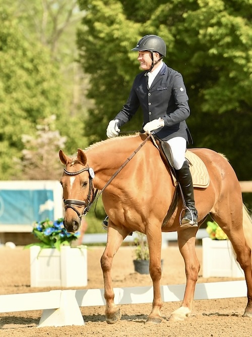 dressage horse trained to second level