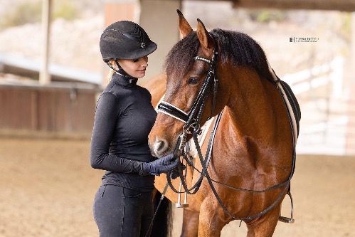 dressage horse trained to intermediate 1