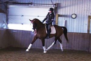 dressage horse for sale in Ontario Canada 