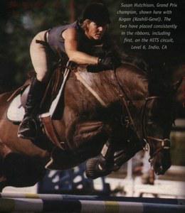 Performance Horse International mare