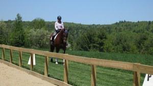 dressage horse for sale in Vermont United States 