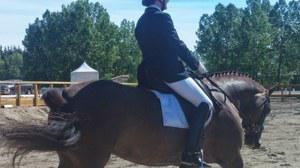 dressage horse for sale in Alberta Canada 