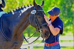 dressage horse for sale in Kentucky United States 