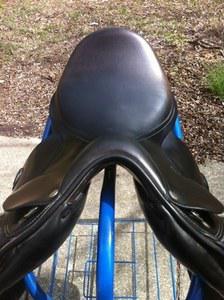 medium tree dressage saddle