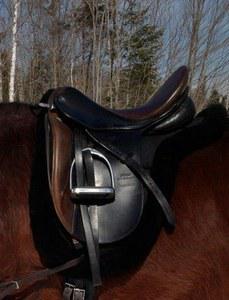 extra wide tree dressage saddle