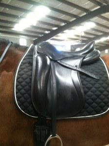 Schleese dressage saddle for sale