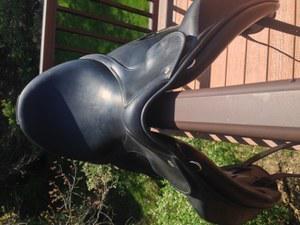 medium wide tree dressage saddle