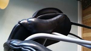 Schleese saddle