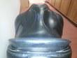 17.5 in seat Albion dressage saddle for sale