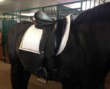 19.0 in seat Wow dressage saddle for sale