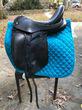 17.0 in seat Bliss dressage saddle for sale