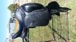 17.0 in seat Adam Ellis dressage saddle for sale