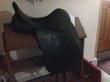 17.0 in seat County dressage saddle for sale