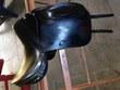 17.0 in seat Harry Dabbs dressage saddle for sale