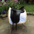 Schleese dressage saddle for sale