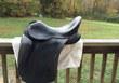 17.5 in seat Danny Kroetch dressage saddle for sale